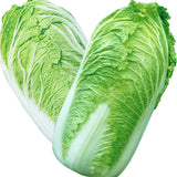 100Pcs,Chinese,Delicious,Cabbage,Seeds,Nutritious,Green,Vegetable,Seeds,Brassica,Plants,Garden