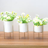 Ceramic,Flower,Plant,Succulent,Indoor,Garden,Display,Stand,Planter,Holder,Decor