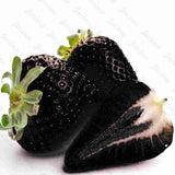 Egrow,Black,Strawberry,Seeds,Fresh,Exotic,Tasty,Fruit,Potted,Garden,Bonsai,Plant