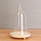 Glass,Display,Cloche,Wooden,Inspired,Beauty,Beast