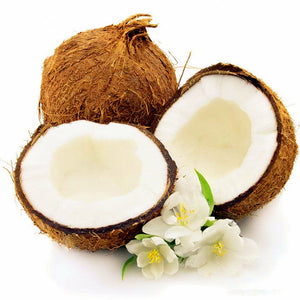 Egrow,Coconut,Seeds,Perennial,Bonsai,Juicy,Fruit,Plants,Garden,Planting