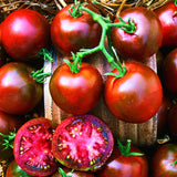 Egrow,Black,Tomato,Seeds,Garden,Lycopersicon,Esculentum,Plants,Seeds,Fruit,Bonsai