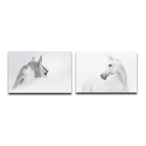 Miico,Painted,Combination,Decorative,Paintings,Black,White,Horse,Decoration