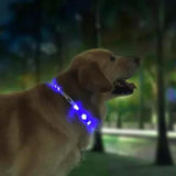 Collar,Waterproof,Charging,Lighting,Device,Warning,Lighting