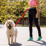 Hands,Leash,Waist,Pouch,Retractable,Walking,Running,Leash,Traction
