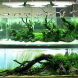 Transparent,Landscaping,Instant,Strong,Aquatic,Plants,Block,Stone,Coral,Adhesive,Aquarium,Water,Plant