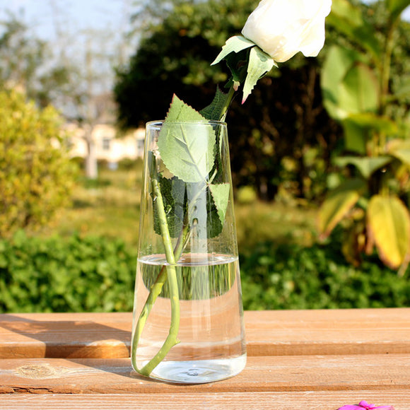 Cylinder,Shaped,Hydroponic,Plants,Glass,Bottle,Garden,Wedding,Party,Decoration