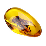 Beautiful,Amber,Hornet,Petrifaction,Insects,Manual,Polishing,Insect,Specimens,Decorations