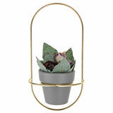 Nordic,Modern,Succulent,Flower,Planter,Shelf,Stand,Garden,Decoration