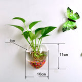 Flower,Plant,Stand,Hanging,Hydroponic,Transparent,Clear,Glass,Round,Terrarium,Container,Wedding,Garden,Decorations
