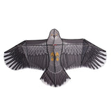 Eagle,Children,Single,Large,Flying,Outdoor,Adult