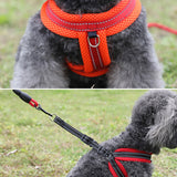 Breathable,Comfortable,Strap,Traction,Adjustable,Buckle,Chain