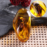 Beautiful,Amber,Hornet,Petrifaction,Insects,Manual,Polishing,Insect,Specimens,Decorations