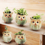 Garden,Ceramic,Succulent,Plants,Flower,Plant,Planters,Garden,Decor