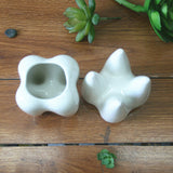 7x10cm,Tooth,Shape,Flower,Succulent,Plant,Storage,Ceramic,Gardening,Potted,Creative,Decor