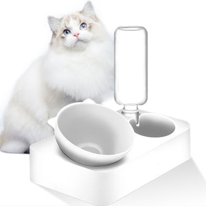 Shaped,Bottle,Drinking,Dispenser,Feeder,Fountain