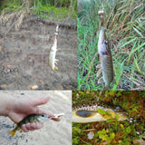 Zanlure,DW384,Metal,Spinner,Spoon,Fishing,Freshwater,Fishing