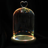 Clear,Glass,Display,Flower,Cloche,Wooden,Light,Decorations
