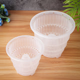 Plastic,Clear,Flower,Orchid,Planter,Container,Decorations