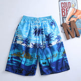 Shorts,Summer,Beach,Pants,Coconut,Trees,Leisure,Trousers,Surfing,Board,Shorts