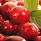 Cranberry,Seeds,Vaccinium,Cherry,Bearberry,Fruit,Seeds,Blueberry,Garden,Seeds