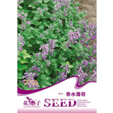 Egrow,30pcs,Mentha,Spicata,Spearmint,Seeds,Perennial,Flower,Seeds