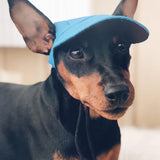 Summer,Print,Baseball,Small,Outdoor,Baseball,Grooming,Accessories
