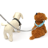 Double,Puppy,Coupler,Chain,Leash,Walking