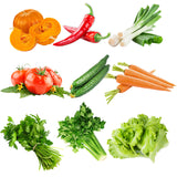 Egrow,Kinds,Mixed,Vegetable,Seeds,Green,Organic,Vegetable,Seeds,Edible,Planting