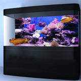 Coral,Aquarium,Background,Poster,Decorations,Landscape