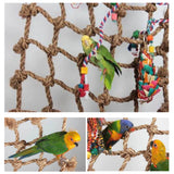 Parrot,Hanging,Climbing,Buckles,Swing,Ladder,Birds