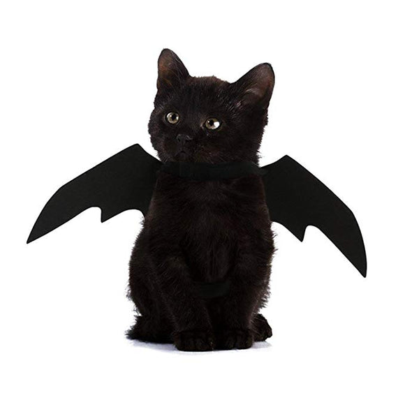 Halloween,Wings,Costume,Black,Puppy,Clothing