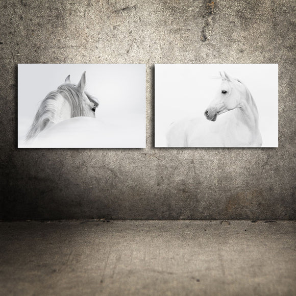 Miico,Painted,Combination,Decorative,Paintings,Black,White,Horse,Decoration