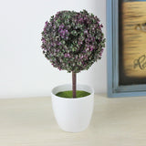 Office,Decorative,Trees,Potted,Plant,Potted,Decorative,Decoration