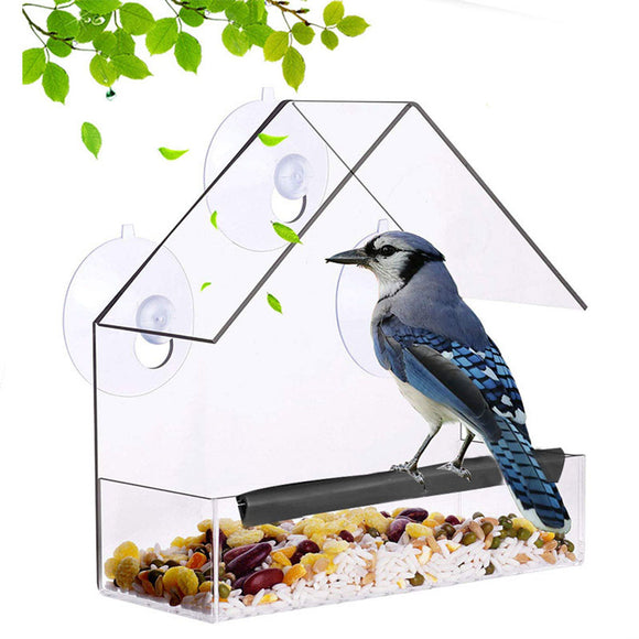 Plastic,Transparent,Parakeet,Feeder,Hanging,Feeding,Garden,Decoration
