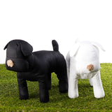 Cotton,Display,Model,Mannequin,Clothing,Apparel,Collar,Decorations