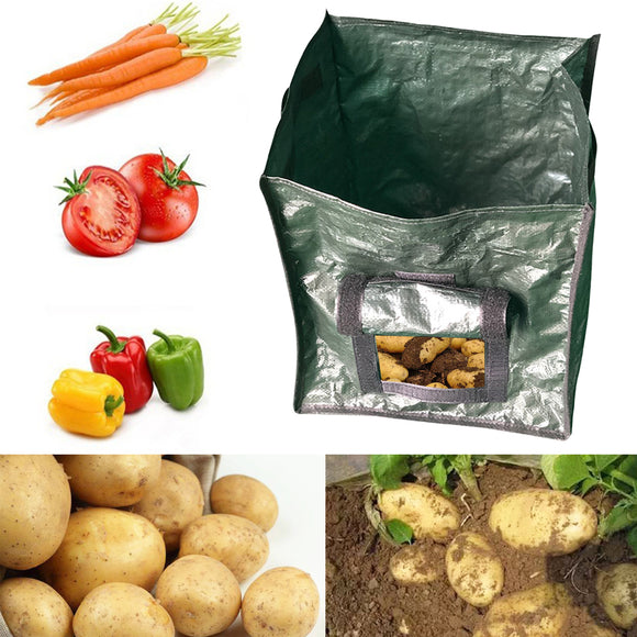 Garden,Potato,Planting,Vegetable,Container,Breathable
