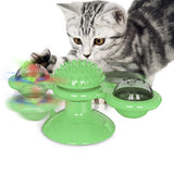 Spinning,Brush,Games