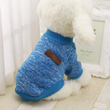 Clothes,Puppy,Outfit,Jacket,Winter,Clothes,Sweater,Clothing