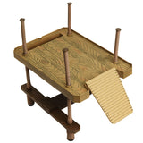 Reptile,Large,Turtle,Square