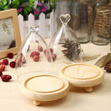 Glass,Clothe,Display,Storage,Wooden,Flower,Preservation