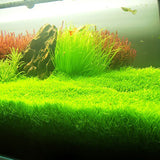 Egrow,Aquarium,Plants,Seeds,Artificial,Aquarium,Plant,Decoration,Submersible