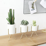 Display,Ceramic,Landscape,Shelf,Stand,Decor