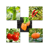 Egrow,Kinds,Mixed,Vegetable,Seeds,Green,Organic,Vegetable,Seeds,Edible,Planting