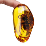 Beautiful,Amber,Hornet,Petrifaction,Insects,Manual,Polishing,Insect,Specimens,Decorations