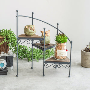 Plant,Stand,Plants,Succulent,Shelf,Stair,Shape,Desktop,Garden,Flower,Stand