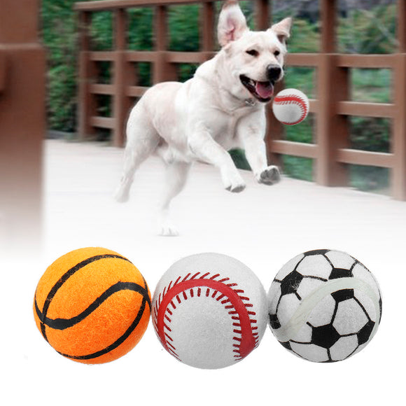 Puppy,Tennis,Fetch,Thrower,Roller,Hyper,Training