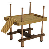 Reptile,Large,Turtle,Square