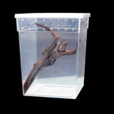 Transparent,Plastic,Display,Insect,Reptile,Breeding,Feeding,Turtle,20*20*25