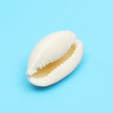 50pcs,Creamy,White,Natural,Shell,Loose,Beads,Accessories,Bracelets,Ornament,Decorations